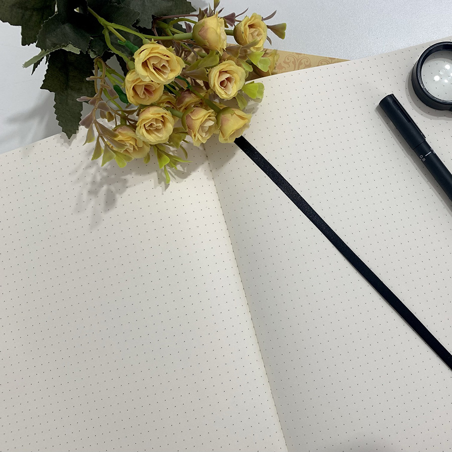 Caderno Grande Pontilhado 100 folhas de 80g - Imagem 3