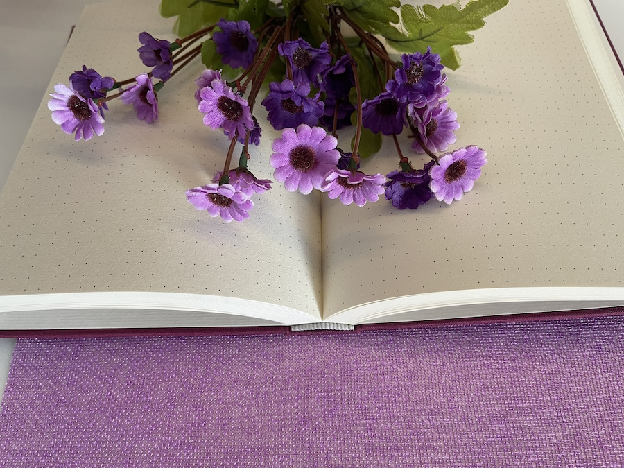 Caderno-A5-Pontilhado-170-Folhas-90g-5-Rosa-Fúcsia Caderno-A5-Pontilhado-170-Folhas-90g-5-Rosa-Fúcsia