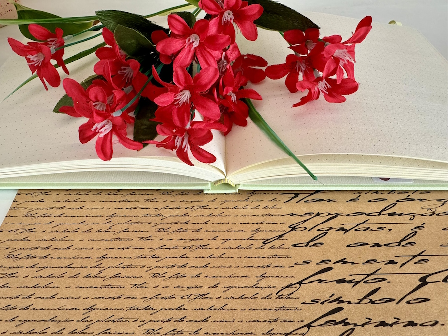 Caderno-Quadrado-Pontilhado-100-Folhas-90g-5-Verde-Pastel Caderno-Quadrado-Pontilhado-100-Folhas-90g-5-Verde-Pastel